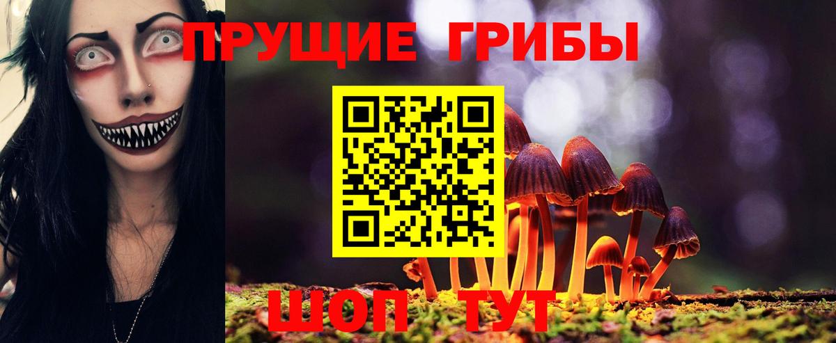 Галлюциногенные грибы Psilocybe  Вход с VPN  Псков 